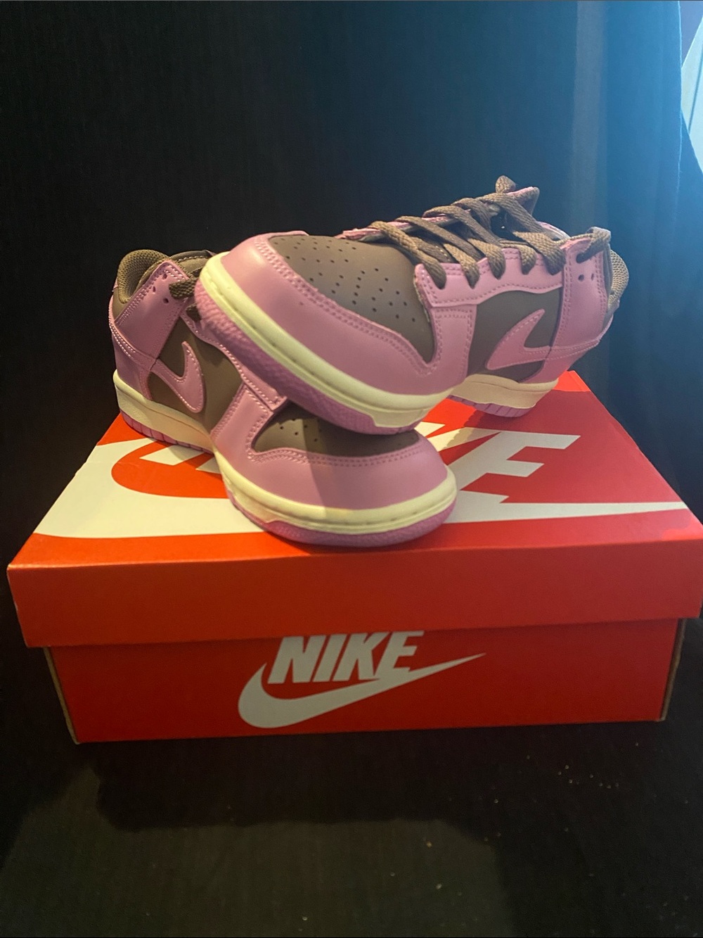 Nike Kids Pink and Gray Low-Top Skate Sneakers
